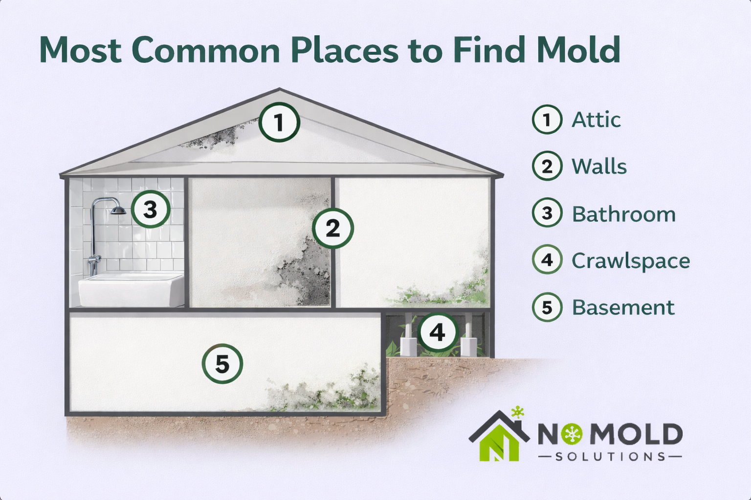A picture that shows all the places where mold could hide